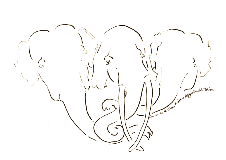 La testa di elefanti