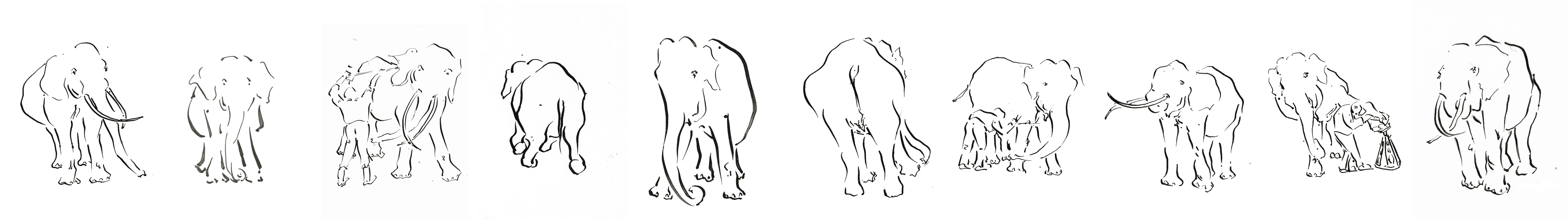 Leporello von Elefantenzeichnungen